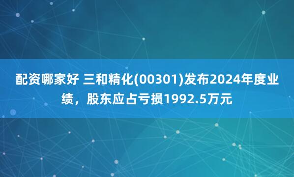 配资哪家好 三和精化(00301)发布2024年度业绩，股东应占亏损1992.5万元