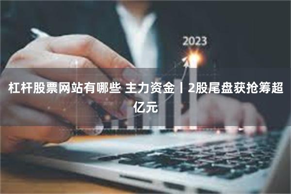 杠杆股票网站有哪些 主力资金丨2股尾盘获抢筹超亿元