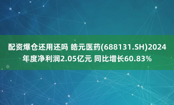 配资爆仓还用还吗 皓元医药(688131.SH)2024年度净利润2.05亿元 同比增长60.83%