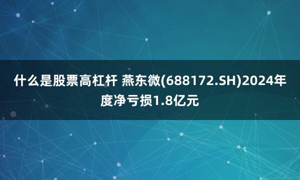 什么是股票高杠杆 燕东微(688172.SH)2024年度净亏损1.8亿元
