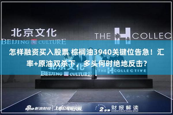 怎样融资买入股票 棕榈油3940关键位告急！汇率+原油双杀下，多头何时绝地反击？