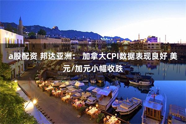 a股配资 邦达亚洲： 加拿大CPI数据表现良好 美元/加元小幅收跌