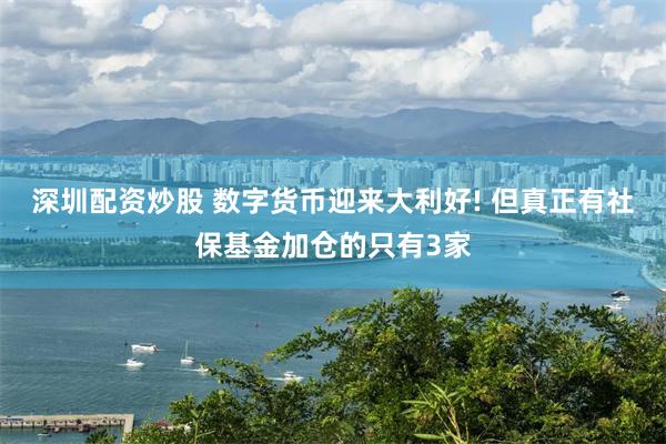深圳配资炒股 数字货币迎来大利好! 但真正有社保基金加仓的只有3家