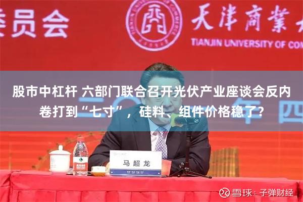 股市中杠杆 六部门联合召开光伏产业座谈会反内卷打到“七寸”，硅料、组件价格稳了？
