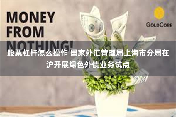 股票杠杆怎么操作 国家外汇管理局上海市分局在沪开展绿色外债业务试点